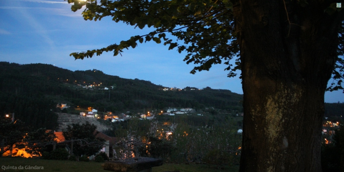 Árbol de noche