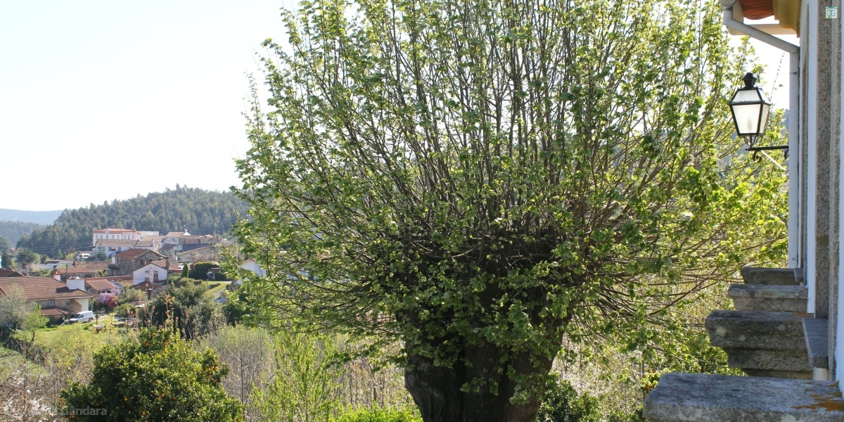 Vista de la habitación