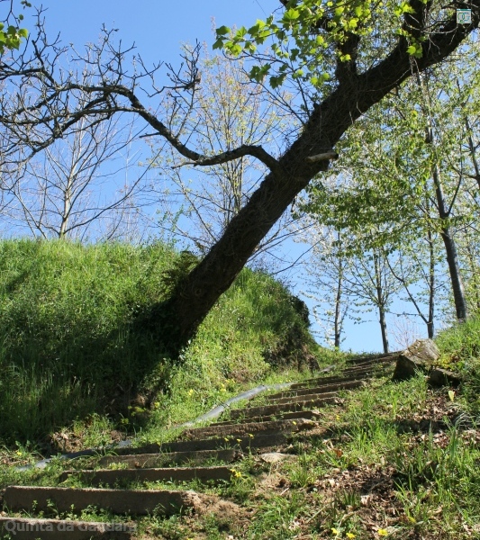Escaleras entre campos